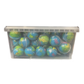 Earth Gummy 18g